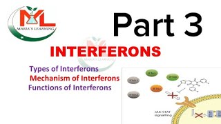 Interferons Types of interferon Mechanism of Interferons  Functions of Interferons  Immunology [upl. by Dill23]