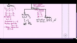 How to Classify Elementary Particles showing difference between Bosons and Fermions [upl. by Anyalram89]