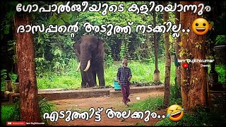 ഗോപാല്‍ജീയുടെ കളിയൊന്നും ഇവിടെ വേണ്ടാ😂  എടുത്തിട്ട് അലക്കും ഞാന്‍  Thechikkottukavu Devidasan [upl. by Leitao]