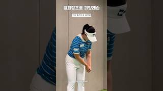 KLPGA 사막여우 임희정프로의 퍼팅 포인트레슨 🦊⛳️✨ [upl. by Wilterdink970]