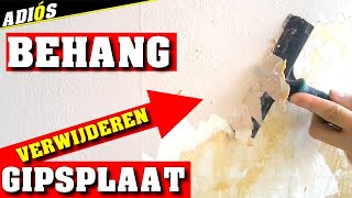 BEHANG VERWIJDEREN  Hoe behang verwijderen van gipsplaat Handige tips bij behang verwijderen [upl. by Angelia237]