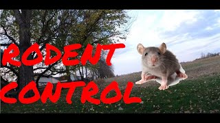 RODENT CONTROL [upl. by Sybila]