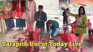 Tarapith Today Live  Tarapith  Tarapith Mandir Live  Tarapith Tour 2024 [upl. by Wj]