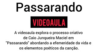 Nanni Barros Caio Junqueira Maciel e a Música quotPassarandoquot [upl. by Annawoj]