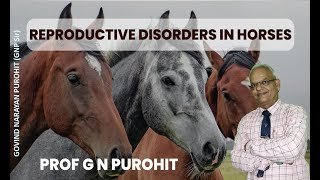 Comprehensive Guide to Reproductive Disorders and Management in Horses  GNP Sirquot [upl. by Nelle28]