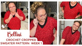 Bellini Crochet Cropped Sweater  This or That MakeAlong 2024  Week 1 [upl. by Nordin431]