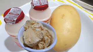 MANGO AND YAKULT ICECREAM  HOW TO MAKE ICECREAM  HOMEMADE ice cream  regilyn channel [upl. by Neelhsa]