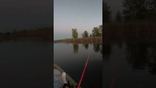 Bass shakes Googan Squad Revolver fishing bassfishing [upl. by Eanom]