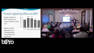 The Importance of Amino Acid Leucine Part 1 [upl. by Wendy]