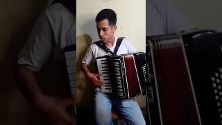 El petizo maceta🪗🎶🇦🇷 argentina musica corrientes chamame acordeon sanfoneiro [upl. by Rubens]