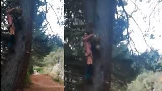 Most DISTURBING Camping Encounters Caught on Camera Vol13 [upl. by Ecinaej]