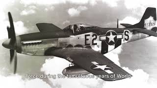 The P51 Mustang A WW2 Legend [upl. by Naenaj]