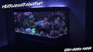 Meerwasseraquarium Eheim Incpiria Marine [upl. by Muncey421]