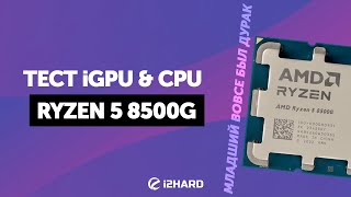 R5 8500G Тест iGPU и CPU — 8500G vs 5600G vs GTX 1050 Ti vs 12100 vs 7500F [upl. by Aromas]