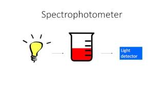 Three Minute Malic Acid Enzymatic Intro [upl. by Eednac844]