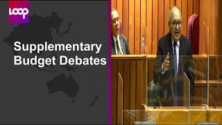 Supplementary Budget Debates [upl. by Anitnoc511]