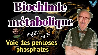 Biochimie métabolique en arabe partie des glucides Voie des pentoses phosphates SVI S4 [upl. by Owades]