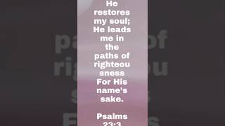 He restores my soul He leads me in the paths of righteousness For His names sake Psalms 233 [upl. by Irej]