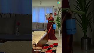 ROJA Serial Shorts Ep 112  1  Priyanka Sibbu Suryan  Saregama TV Shows Tamil  shorts ytshorts [upl. by Ibor]