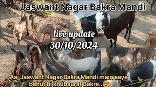 Jaswant Nagar Bakra MandiMashallah Aaj Mandi mein bahut hi khubsurat BakreLive Update 30102024 [upl. by Kingdon]