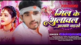 मिल के भुलावल आसान नईखे vishal sajanwa raja mil ke bhulawal aasan naike bhojpuri song new DJ 2024 [upl. by Ettenajna289]