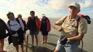 Wattenmeer  Erholung im Rhythmus der Natur  UNESCO Welterbe [upl. by Russel455]