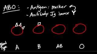 Blood Type ABO and Rh Made Simple [upl. by Enyaz81]