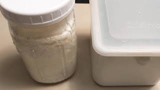 Milk Kefir Separating Your Curds and Whey After Fermentation [upl. by Marleah]