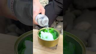 ✅ The guy shows SURVIVAL skills in the FOREST 🥾💦 camping survival bushcraft outdoors lifehack [upl. by Merri]