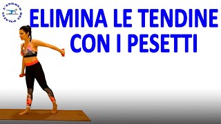 braccia a tendina esercizi con pesi pilates [upl. by Drannel172]