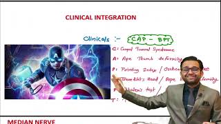 Incredible First Prof Pack Anatomy  Median Nerve by Dr Shrikant Verma [upl. by Ayanal]