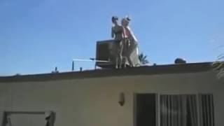 Mallorca  Balconing Fail Magaluf  OMG 2016 [upl. by Hoffer]