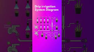 🇺🇸Americaல Drip Irrigation System WiFi Sprinkler System App Controlled 🌎 Evaporation Wind💨 [upl. by Ainival450]