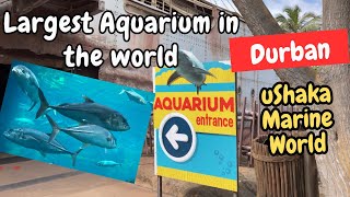 uShaka Marine World  The largest Aquarium in Africa  Durban  South Africa [upl. by Norward534]