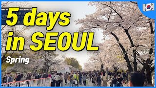 SEOUL 5 day itinerary in spring Local Recommendation  Korea Travel Tips [upl. by Thompson]