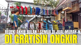 REVIEW BURUNG GACORAN YG DI JUAL MURAH BERGARANSI GRATIS ONGKIR DI JAKARTA PUSAT [upl. by Reo756]