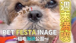 自然の中でペットと楽しむ！海辺のカフェ＆イベント〜PET FESTA INAGE〜2024年秋〜わんこイベント千葉県稲毛海浜公園 [upl. by Pauiie205]