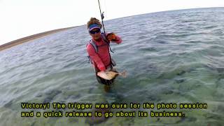 The EDGE 8 wt fly rod review  Triggerfish Sunday [upl. by Hirsh]