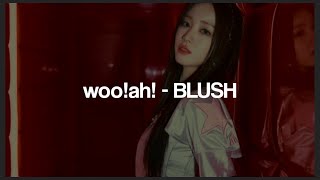 WOOAH BLUSH lyrics [upl. by Anaihsat]