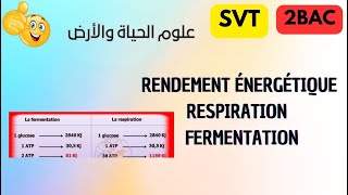 2BAC SVT ET PC  Le rendement énergétique de la respiration et la fermentation [upl. by Marv]