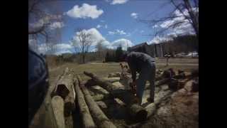 Husqvarna 460 Rancher cutting logs [upl. by Nadean]