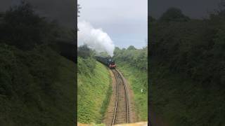 GWR hall class 6990 ‘Witherslack hall’ passing under a bridge just out side watchet station [upl. by Htomit]