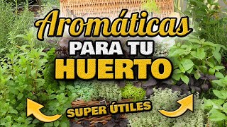 5 Plantas AROMÁTICAS ESENCIALES en Casa y HUERTO 🌸 MEJORA tu COSECHA  Solución NATURAL para PLAGAS [upl. by Sutsuj]