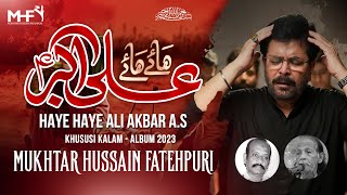 Nohay 2023  HAYE HAYE ALI AKBAR ع  Mukhtar Fatehpuri  Noha 2023  Noha Ali Akbar  Nazim Hussain [upl. by Junna]