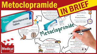 Metoclopramide Reglan 10 mg What is Metoclopramide Used For Dosage Side Effects amp Precautions [upl. by Murry866]