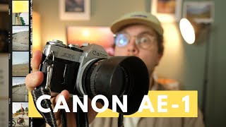 Je DÉCOUVRE le CANON AE1 au MONT VENTOUX [upl. by Nagaem]