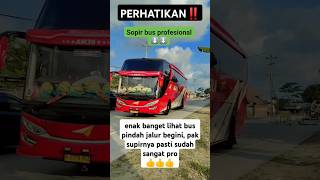 Driver Bus Profesional truckdriver automobile driver busmania buspariwisata driverlintas [upl. by Neyud]