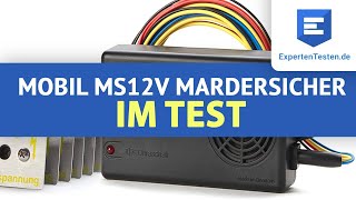 Marderschreck Review Mobil MS12V von MarderSICHER im Test 2021 [upl. by Nesline]