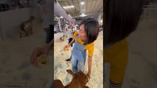 Nos encantan los animales de la granja😍 123andres musicainfantil granja shortsfeed shorts [upl. by Caiaphas177]