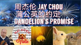 Dandelions Promise  Violin Cover [upl. by Etteve]